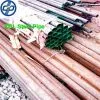 Stpg38 Seamless Steel Pipe thumbnail-1