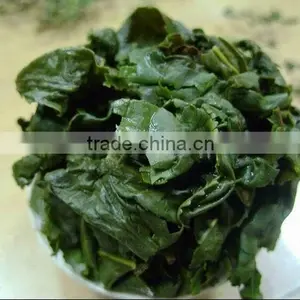 Tie Guan Yin High Quality Hot Sale Oolong Tea Fujian Tieguanyin Oolong Tea thumbnail-4