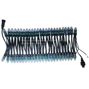 Indoor Decoration, Outdoor Lighting, Advertising Lamp String 12vws2811 Full Color Exposure Lamp, American Full Color Exposure Lamp thumbnail-3