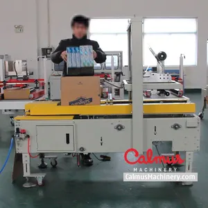 Carton Forming Sealing Machine - Cartoning Station thumbnail-1