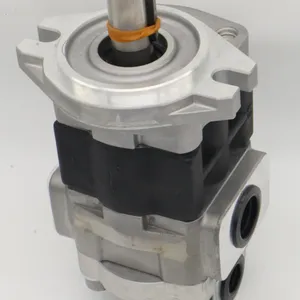 Hydraulikpumpe SDY1 SDY SD DDG SDB SD1 Zahnradpumpe SDY1-275L896 Hydraulikölpumpe SDY1-275L896 thumbnail-4