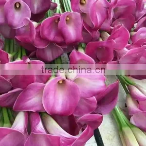 High Grade New Coming Decoration Calla Lily Flower thumbnail-2