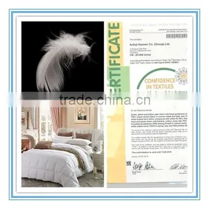 Factory Made 2-4cm Washed White Goose Down Quilts New Technology Product in China thumbnail-2