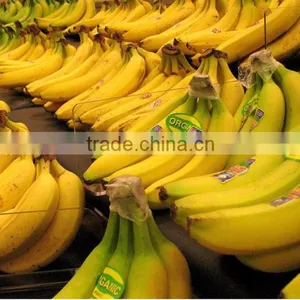 Grade A Fresh Cavendish Bananas thumbnail-2