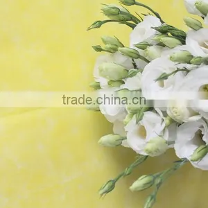 Good Smell Hotsell Provide High Quality Fresh Eustoma thumbnail-5