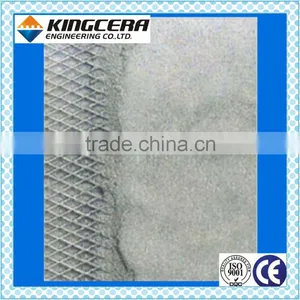 Ceramic Spray thumbnail-5
