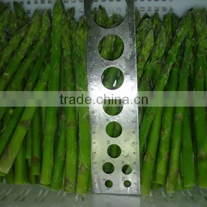 IQF Frozen Asparagus thumbnail-2
