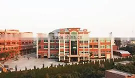Dongguan City Sinoshine Technology Co., Ltd. company overview - view 1 thumbnail
