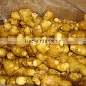 Bulk Fresh Ginger thumbnail-1