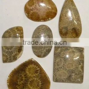 Fossil Coral thumbnail-1