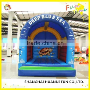 Different Kinds of Cartoon Model Inflatable Bouncers, Garden Bouncer Castle for Sale thumbnail-3