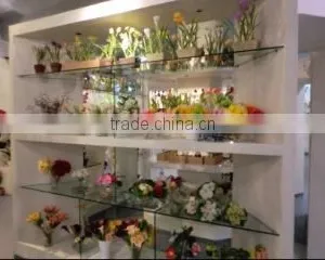 Shenzhen HYS Trading Co., Ltd. company overview - view 1 thumbnail