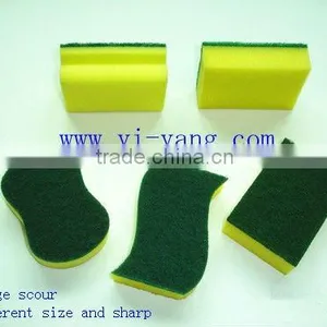 Sponge Scour thumbnail-1