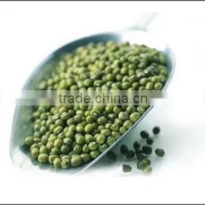 Green Mung thumbnail-1