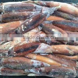 Frozen Squid Whole Argentina Illex thumbnail-1