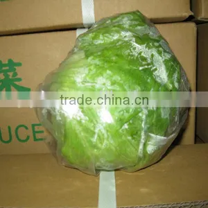Hot-sell Green Fresh Lettuce thumbnail-1