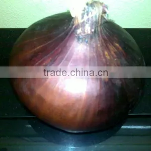 Fresh (RED ,Yellow , White ) ONION thumbnail-1