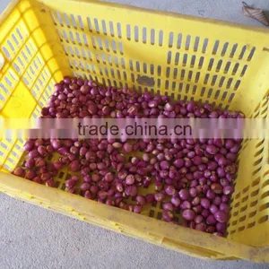 FX-128-2 Hot Sale Large Capacity Garlic Peeling Peeler Machine thumbnail-4