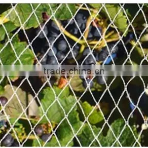 Bird Deterrent Netting thumbnail-1