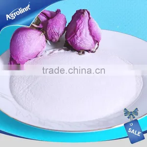 Reasonably Price Sodium Nitrite 99% thumbnail-4