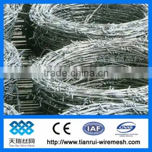 Barbed Security Wire thumbnail-1