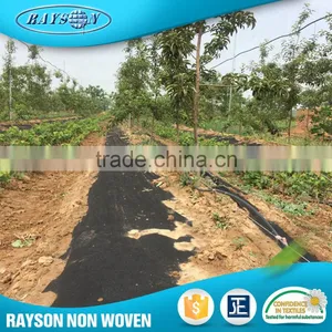 2016 New Products Polypropylene Non Woven Agriculture Nonwoven Fabric Roll thumbnail-1