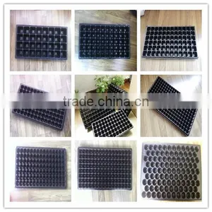 420 Cell Black HIPS Vegetable Plants Seed Nursery Trays, Stock MOQ 1000pcs thumbnail-2