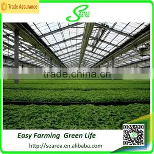 Commercial Polycarbonatge Hydroponics Greenhouse Shade Green House Design thumbnail-1