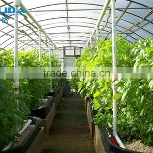 BaoLiDa Low Cost 20 Micron Polycarbonate Greenhouse pc Sheet Greenhouse thumbnail-1
