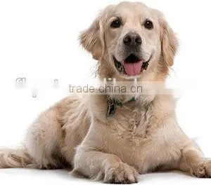 Menu Mix Diet Pet Food Dog Food thumbnail-3