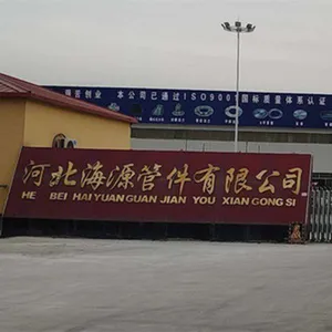 Hebei HaiLong Pipe Fittings Co., Ltd. company overview - view 1 thumbnail