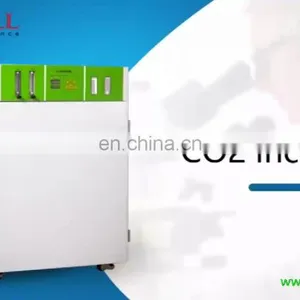Touch Screen Co2 Incubator Cell Culture Incubator thumbnail-1
