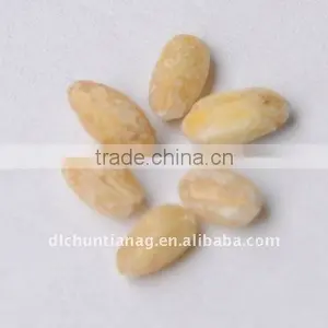 Barley Hulled thumbnail-1
