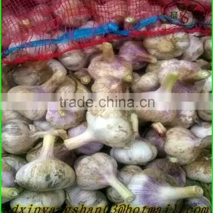 (NEW) 2015 Fresh White Garlic From 4.0cm---6.0cm thumbnail-2