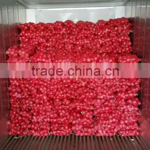 Low Price Fresh Red Onion Packing In Mesh Bag Cheap Onion thumbnail-3