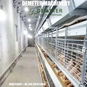 Layer Chicken Cage for Sale in Nigeria thumbnail-2
