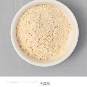 Onion Powder CN thumbnail-1