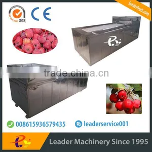Leader Fruit Pitting Machine With CE&ISO thumbnail-2