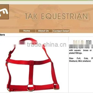 Foal Nylon Halter thumbnail-1