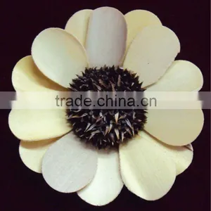 Palm Flower thumbnail-1