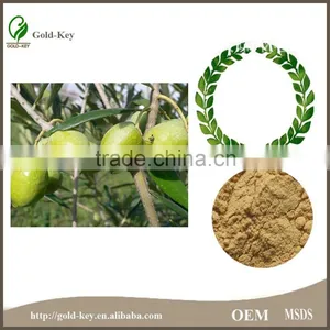 China Supply Olive Leaf Extract, Olive Leaf Powder thumbnail-6