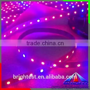 IP65 Red/blue LED Grow Strip Light Plant Grow Strip 5050 thumbnail-2