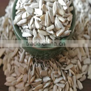 Sunflower Kernels for Oil Extract Refined thumbnail-2