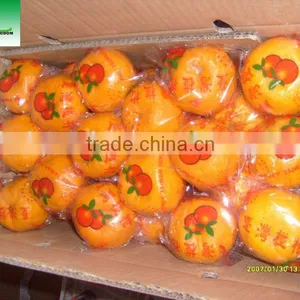 Sell Big Mandarin Orange Brother Kingdom thumbnail-1