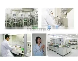 Mirai Co., Ltd. company overview - view 2 thumbnail
