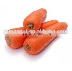 Chinese Bulk Fresh Carrots thumbnail-2