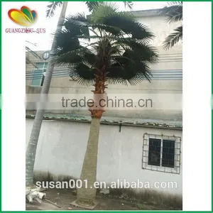 SUS Artificial Palm Tree Fiberglass Artifcial Palm Tree thumbnail-1