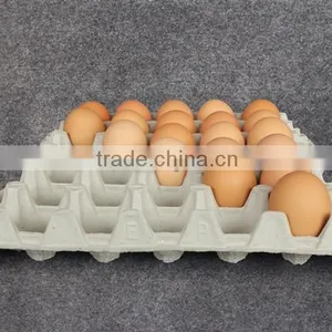 Disposable Egg Carton Tray thumbnail-1