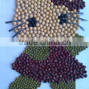Soybean/soya Bean, Soybean Seeds, Soya Bean Seeds( 2013 Crop, Heilongjiang Origin) thumbnail-1