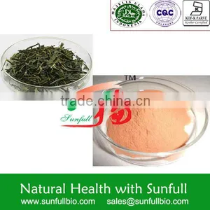 Supply 100% Natural Green Tea Extract 98% Polyphenols 80% Catechins 60% EGCG thumbnail-1